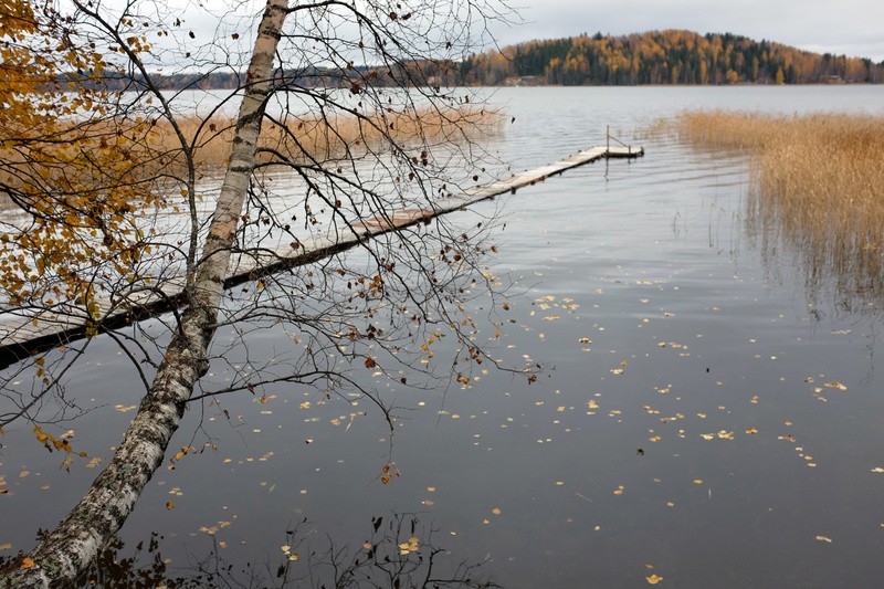 Фото сделанное пользователем Серёжа