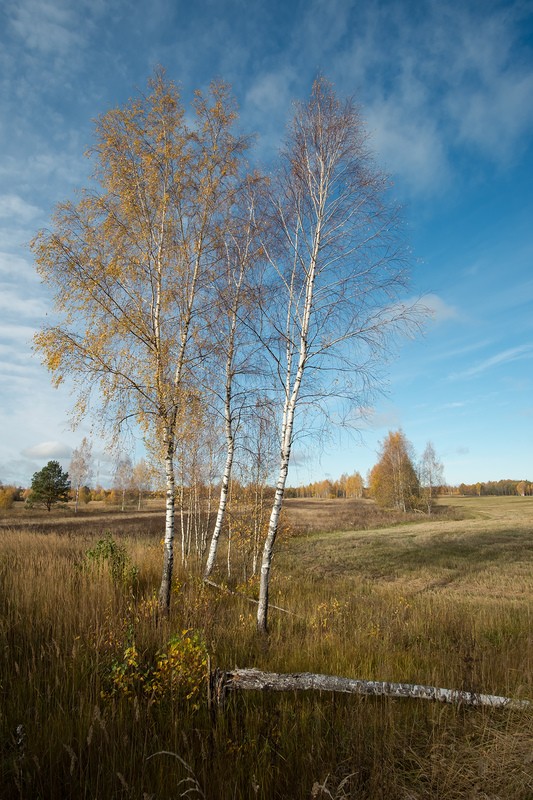 Фото сделанное пользователем rhbiyfbn