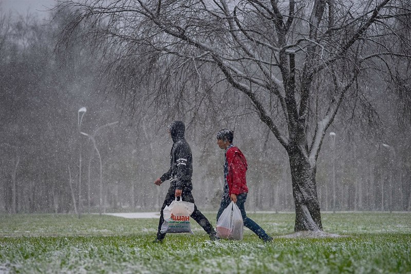 Фото сделанное пользователем Moldan