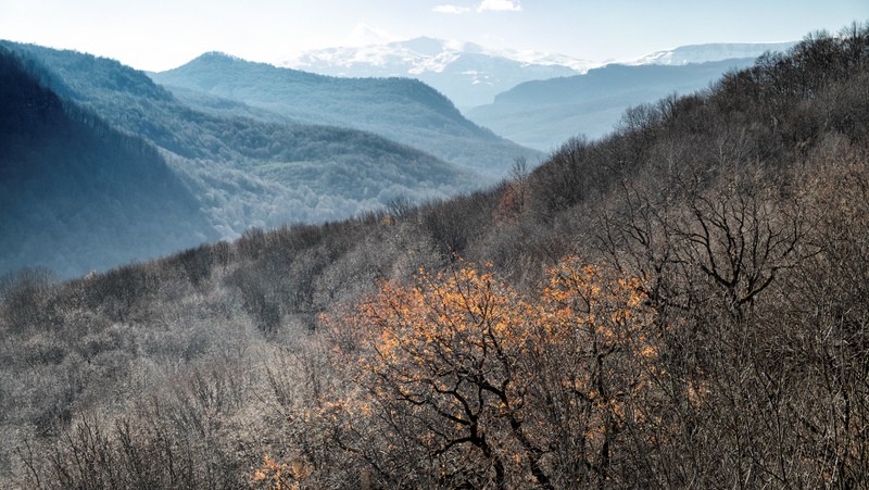 Фото сделанное пользователем kolaytor