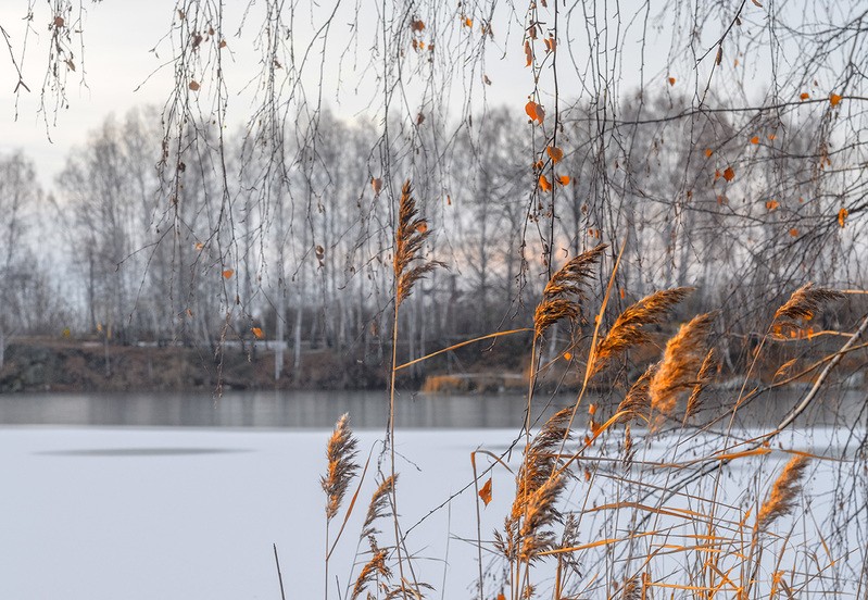 Фото сделанное пользователем derder