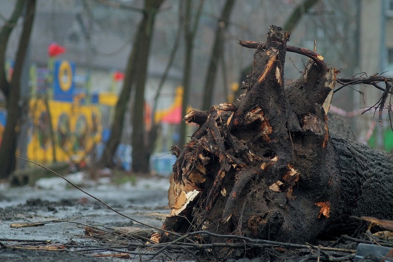 Фото сделанное пользователем minog