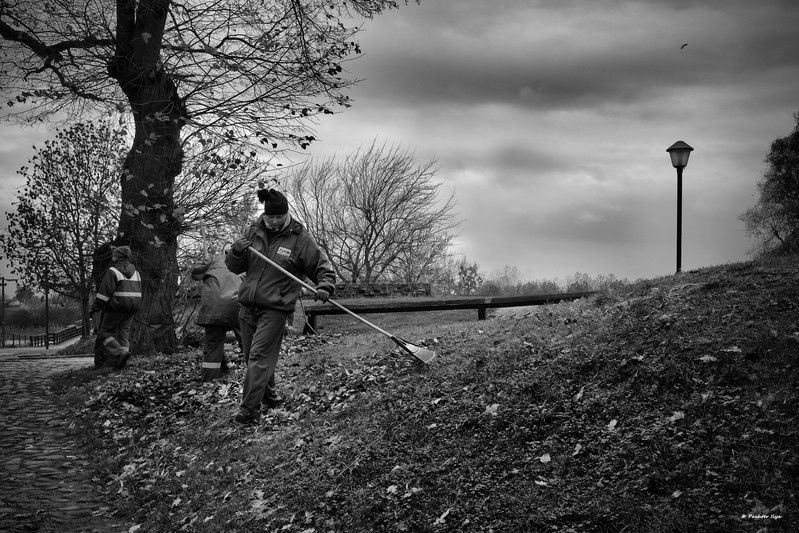 Фото сделанное пользователем Slon69