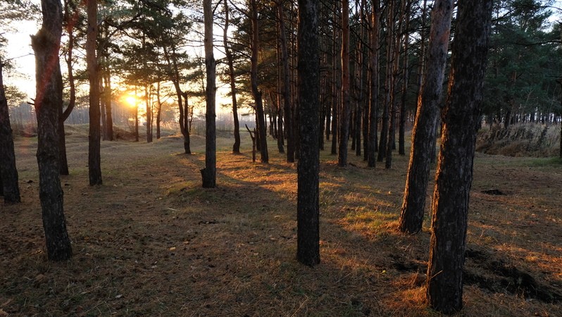 Фото сделанное пользователем Vol_K