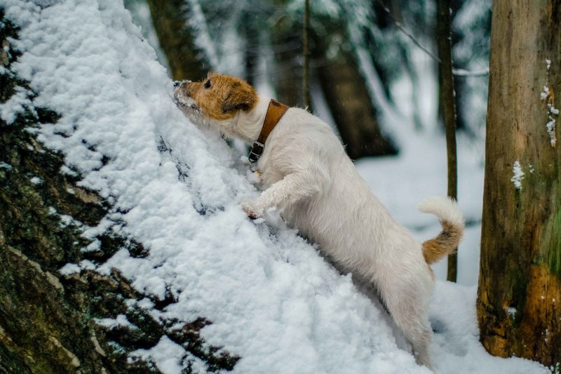 Фото сделанное пользователем Mr. Дмитрий