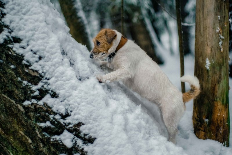 Фото сделанное пользователем Mr. Дмитрий