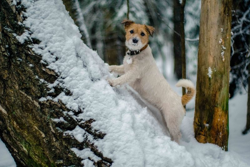 Фото сделанное пользователем Mr. Дмитрий