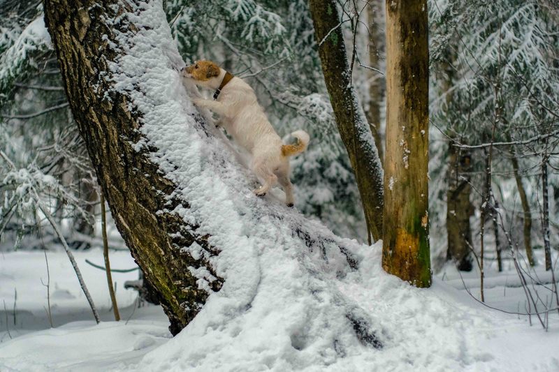 Фото сделанное пользователем Mr. Дмитрий