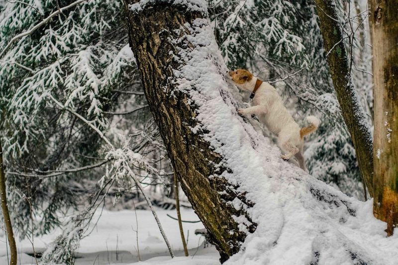 Фото сделанное пользователем Mr. Дмитрий