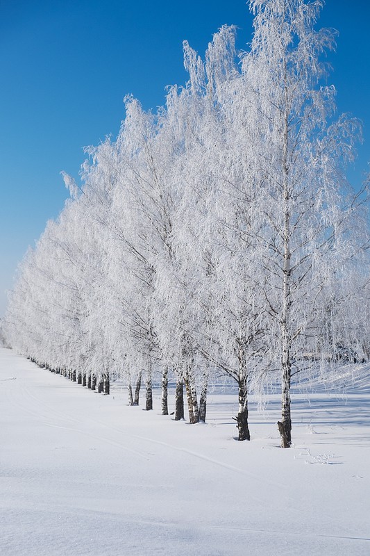 Фото сделанное пользователем Stroevoy