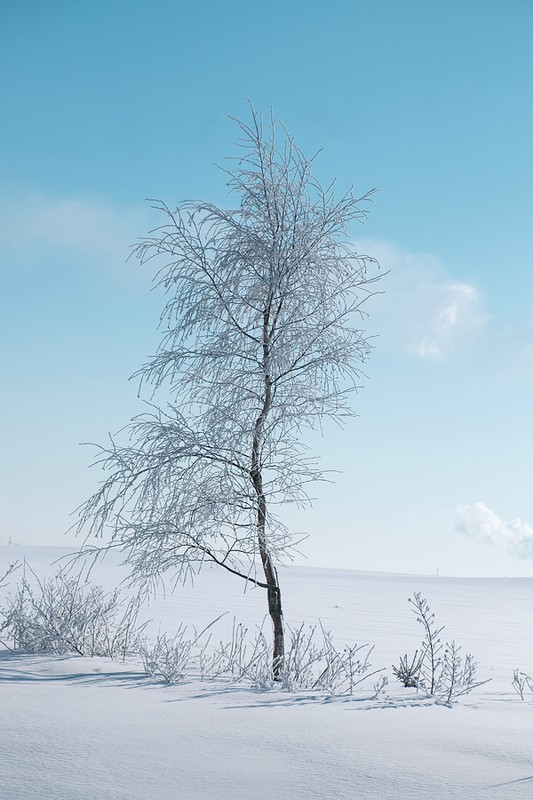 Фото сделанное пользователем Stroevoy