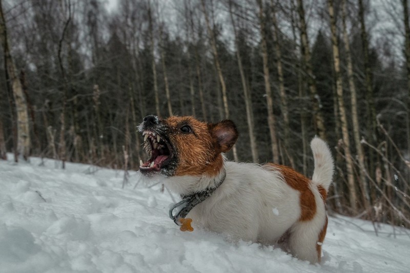 Фото сделанное пользователем Mr. Дмитрий