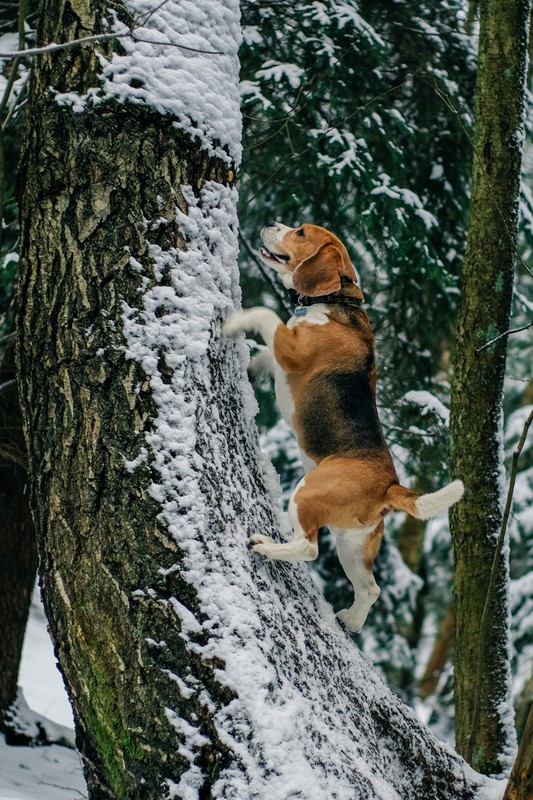 Фото сделанное пользователем Mr. Дмитрий