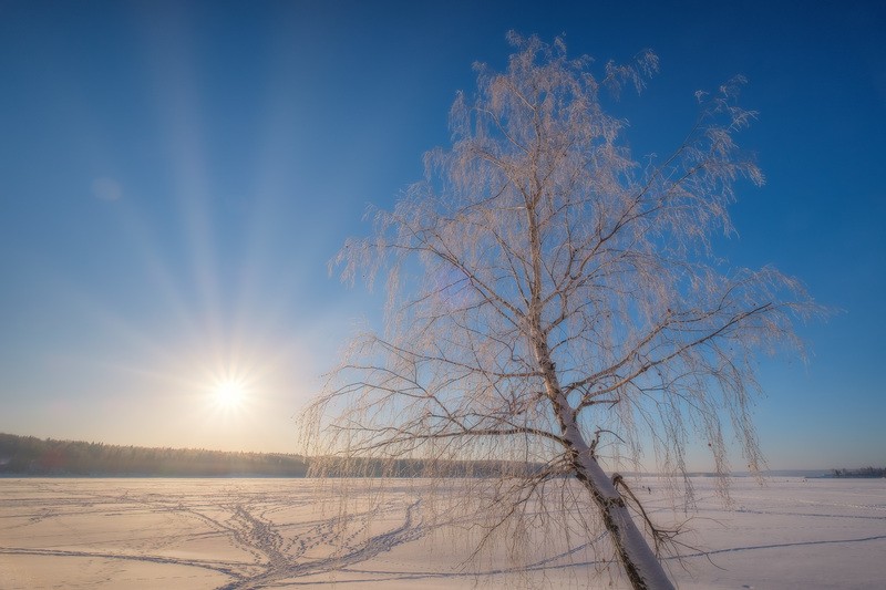 Фото сделанное пользователем Fuseboy