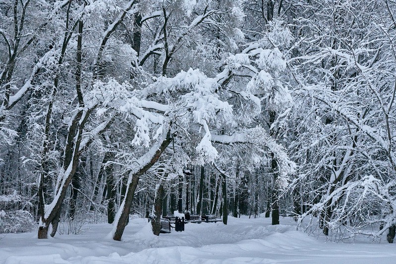 Фото сделанное пользователем K_I_F