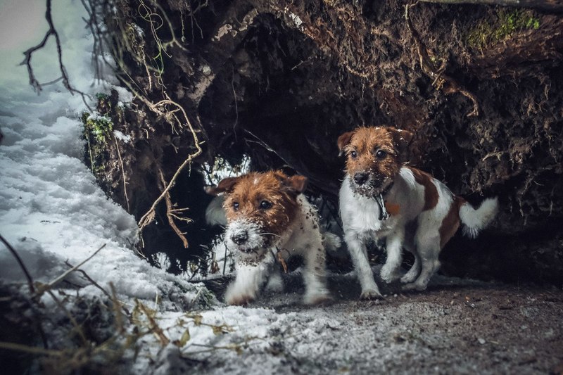 Фото сделанное пользователем Mr. Дмитрий