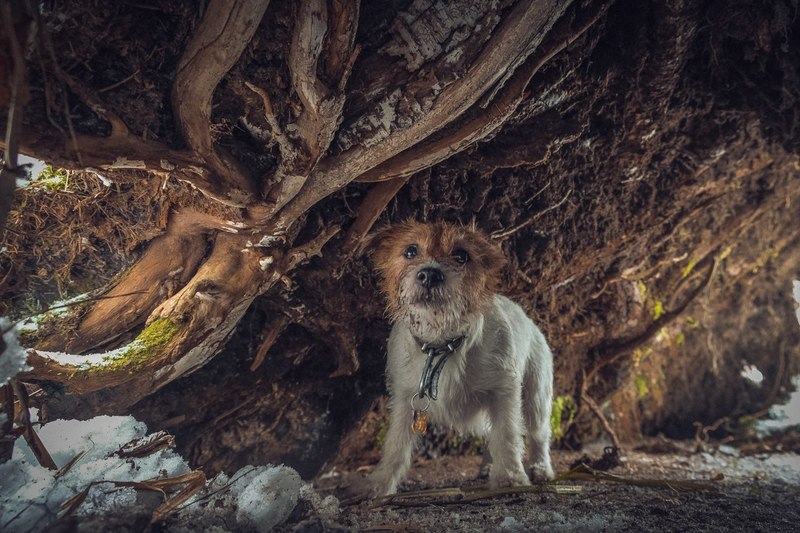 Фото сделанное пользователем Mr. Дмитрий