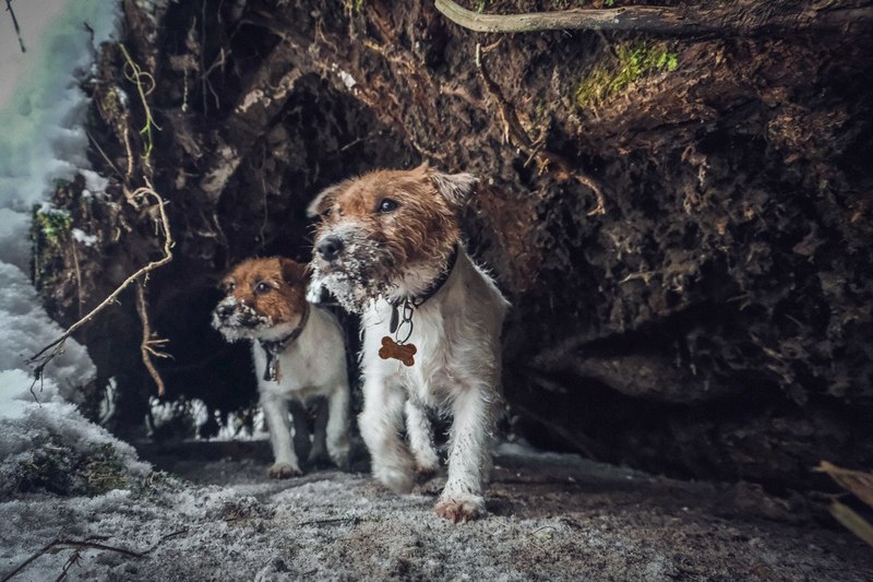 Фото сделанное пользователем Mr. Дмитрий