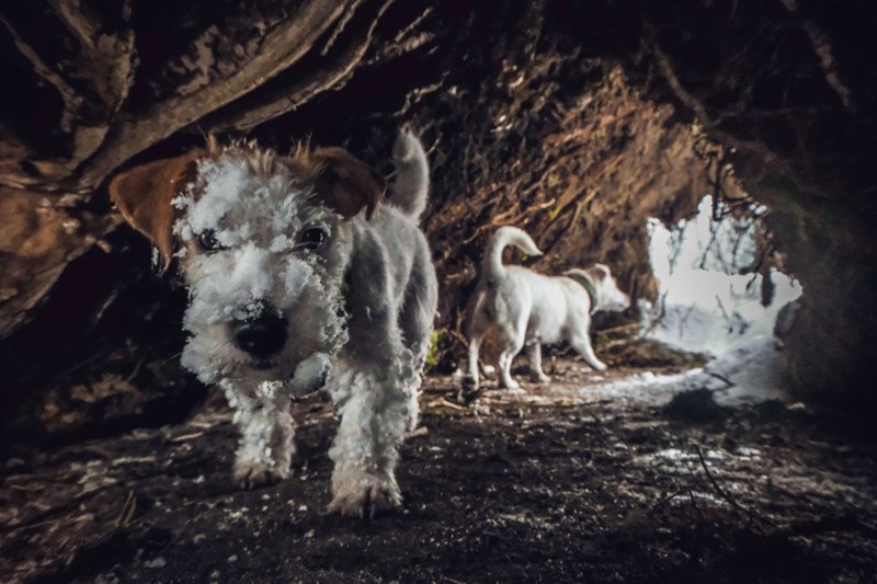 Фото сделанное пользователем Mr. Дмитрий