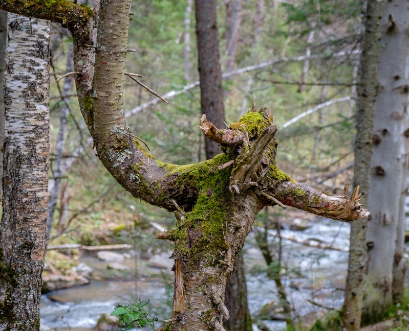 Фото сделанное пользователем Mak V