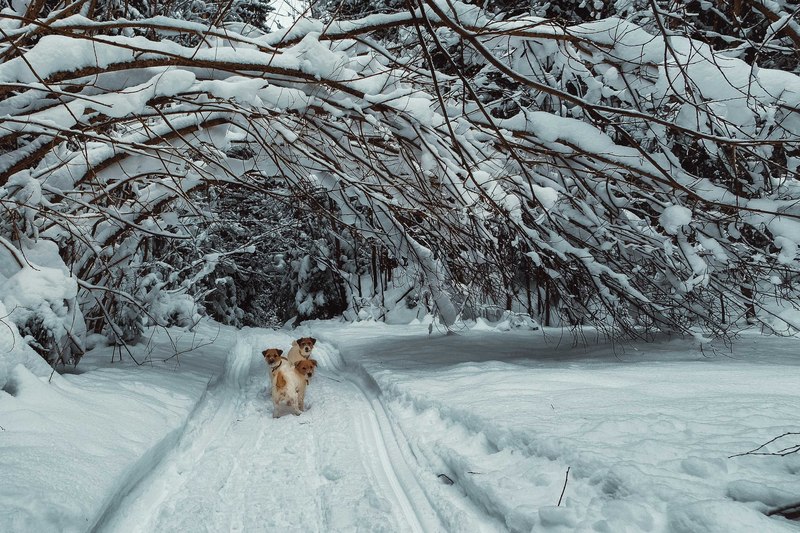 Фото сделанное пользователем Mr. Дмитрий