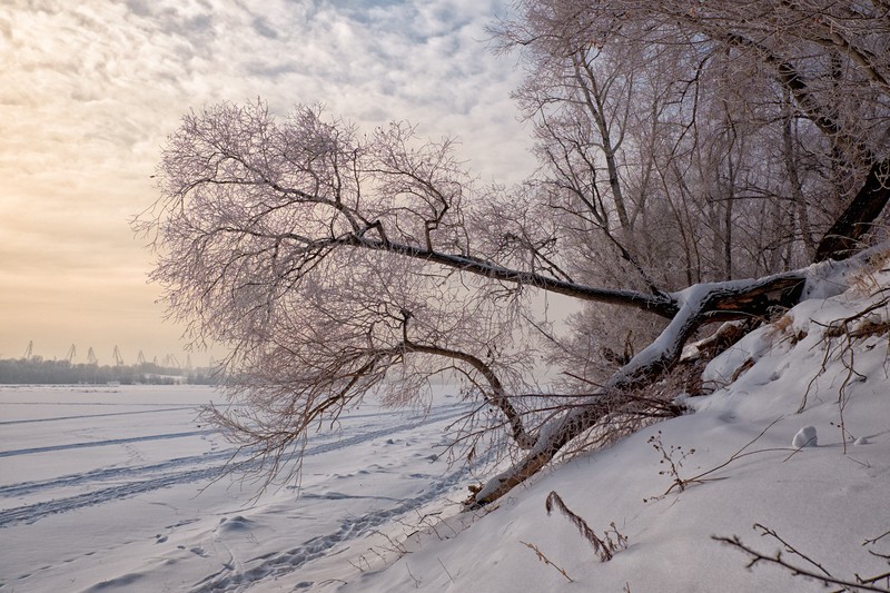 Фото сделанное пользователем delsena