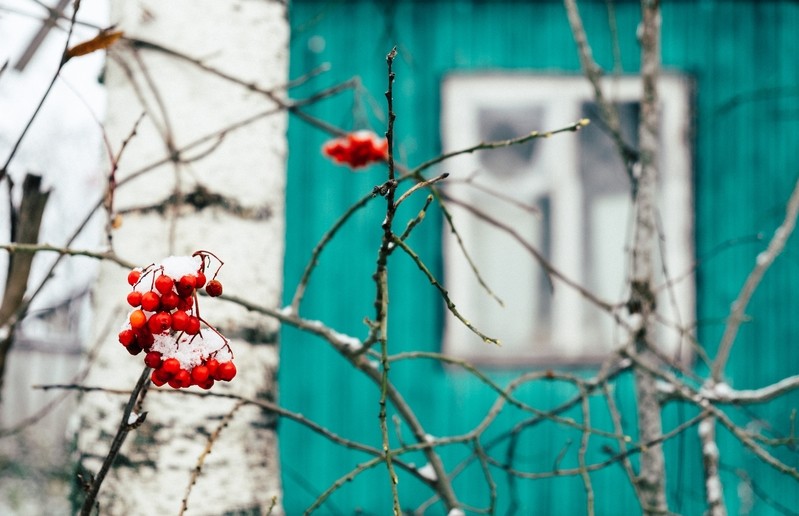 Фото сделанное пользователем Cloudberry