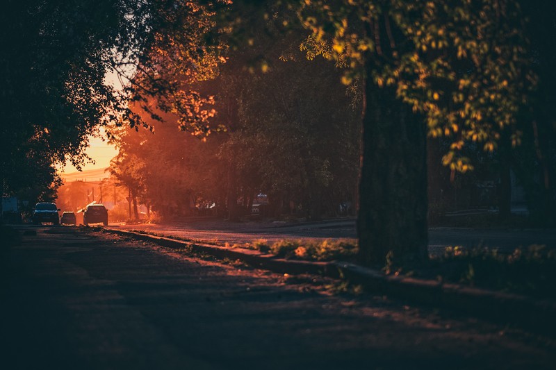 Фото сделанное пользователем AnDron