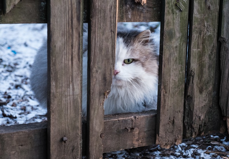 Фото сделанное пользователем AVBalashov