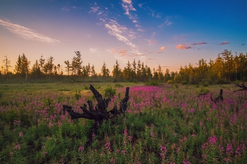 Фото сделанное пользователем AnDron