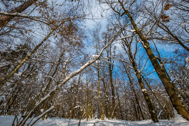 Фото сделанное пользователем Snzkgb