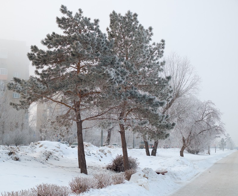 Фото сделанное пользователем delsena