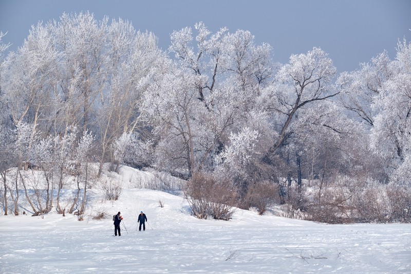 Фото сделанное пользователем delsena