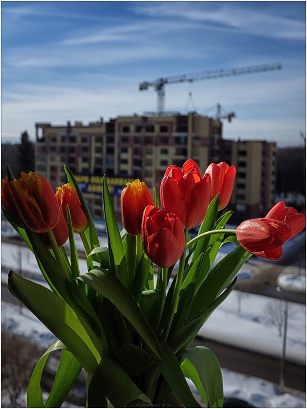 Фото сделанное пользователем igorcentr