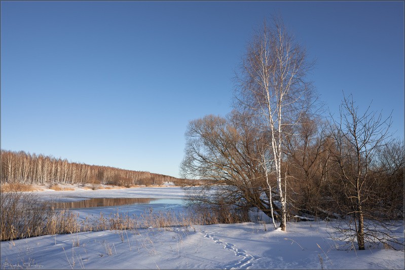 Фото сделанное пользователем rus-lis