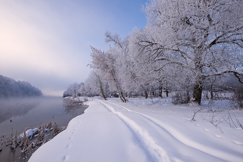 Фото сделанное пользователем AlexP