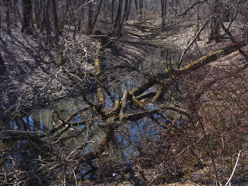 Фото сделанное пользователем Olcher