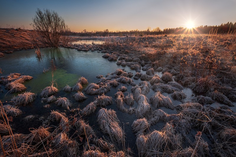 Фото сделанное пользователем Fuseboy