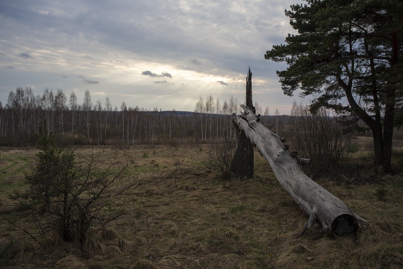 Фото сделанное пользователем rhbiyfbn