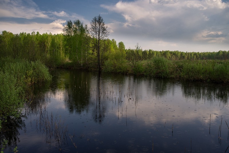 Фото сделанное пользователем rhbiyfbn