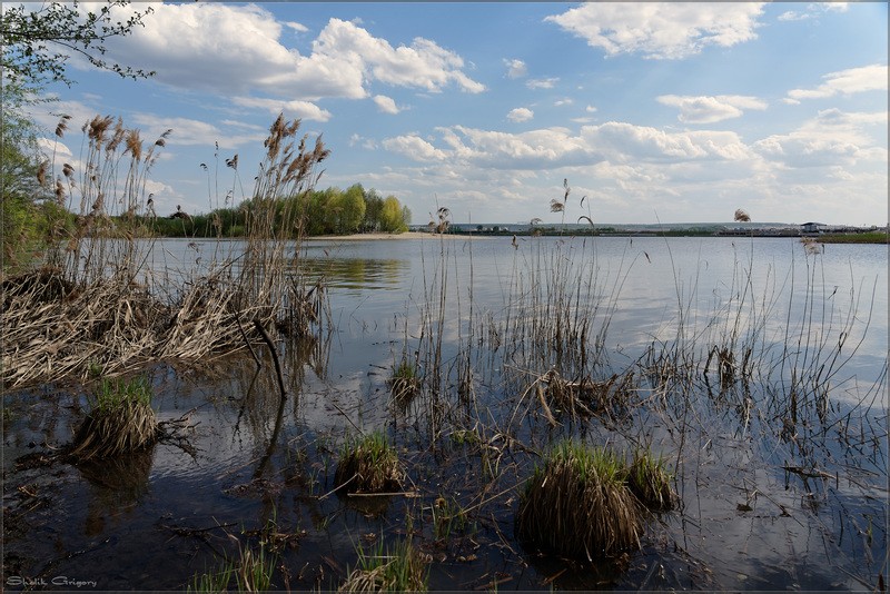 Фото сделанное пользователем rus-lis