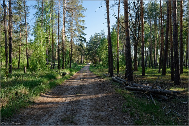 Фото сделанное пользователем rus-lis