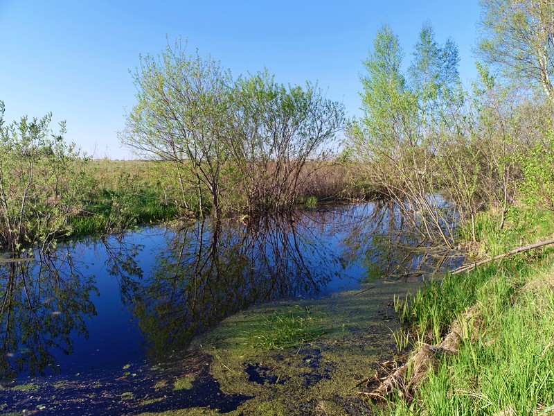 Фото сделанное пользователем Olcher