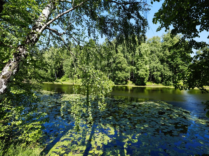 Фото сделанное пользователем Olcher