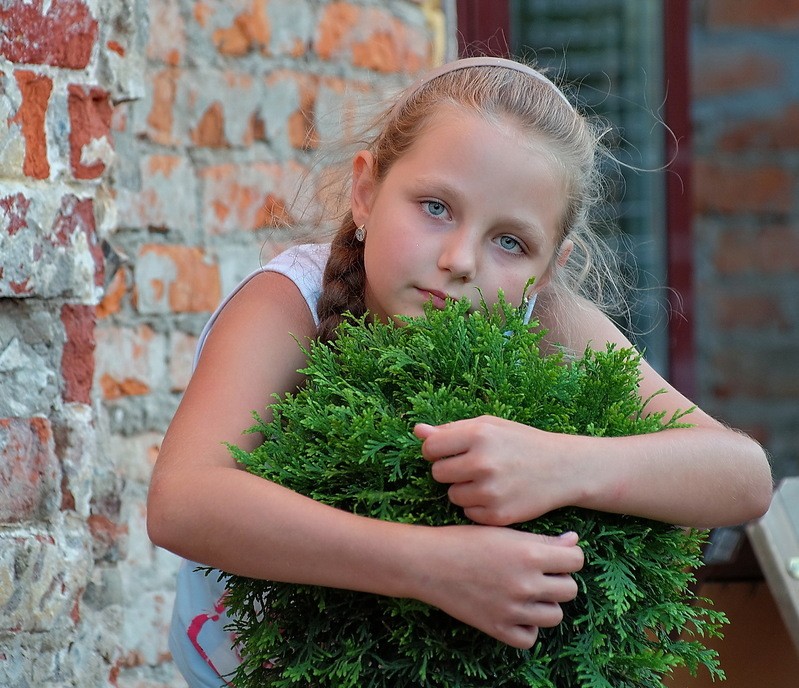 Фото сделанное пользователем minog