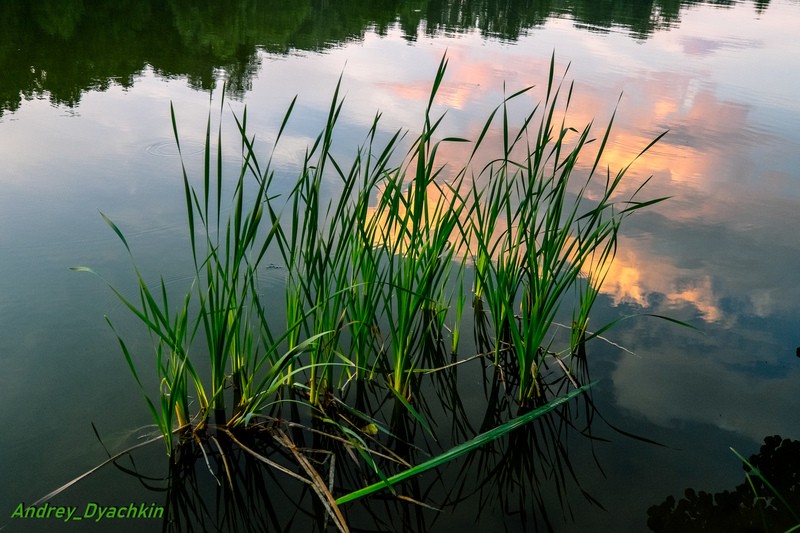 Фото сделанное пользователем AndreiD