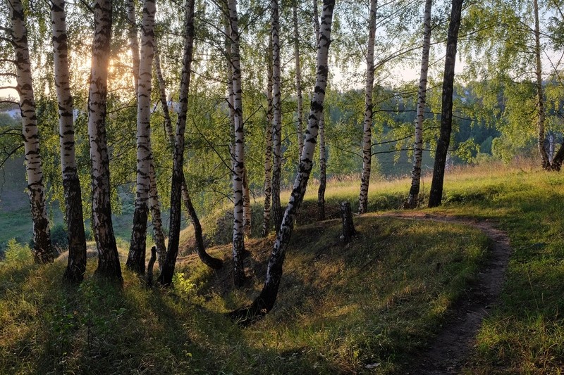 Фото сделанное пользователем Paavo