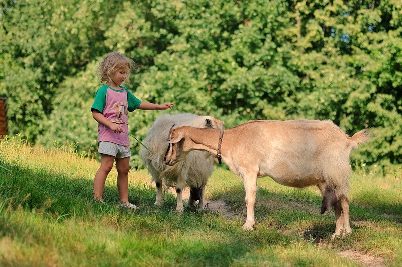 Фото сделанное пользователем minog