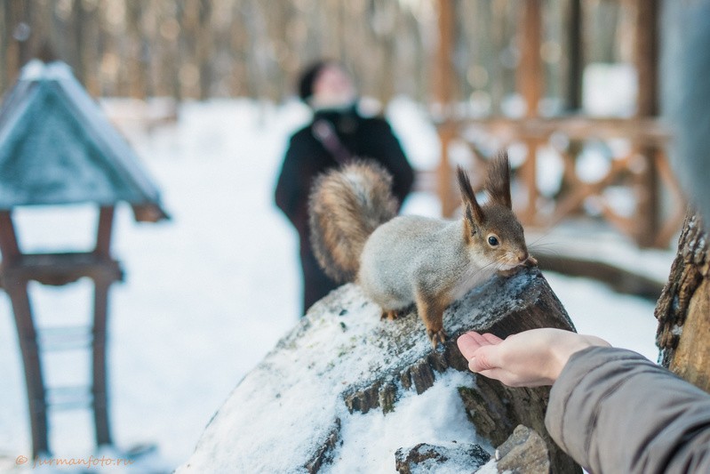 Фото сделанное пользователем Furmanfoto