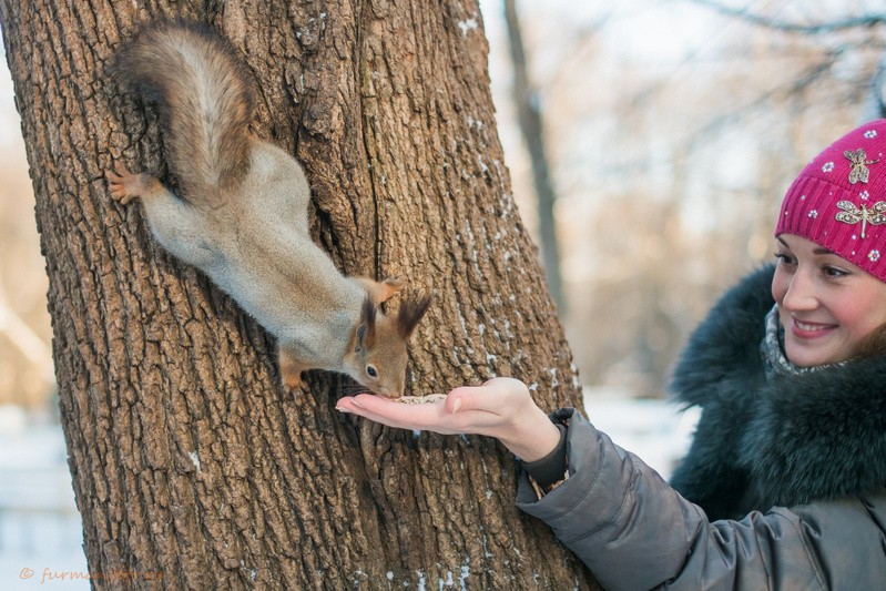 Фото сделанное пользователем Furmanfoto